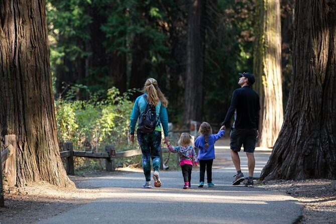 Yosemite Highlights & Giant Sequoias Day Tour from San Francisco - A Complete Look at the Yosemite Day Tour Experience