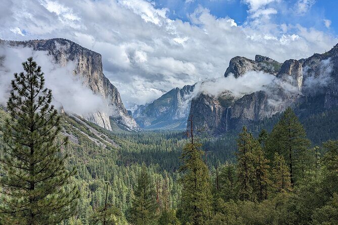 Yosemite National Park Day Tour with Optional Alcatraz - Authentic Experiences and What Travelers Say