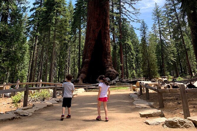 Yosemite Private Tour from San Francisco - Who Should Consider This Tour?
