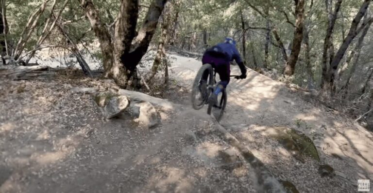 Yosemite Valley Area: Standard Bike Rental - What to Expect When You Rent