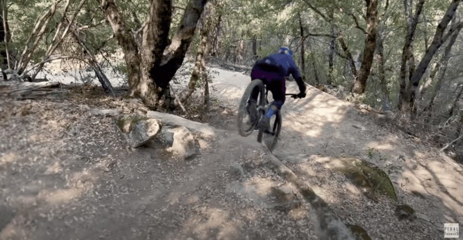 Yosemite Valley Area: Standard Bike Rental - What to Expect When You Rent