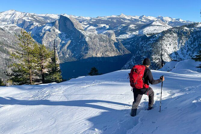 Yosemite Winter Wonderland Guided Hiking or Snowshoeing - The Itinerary and What to Expect