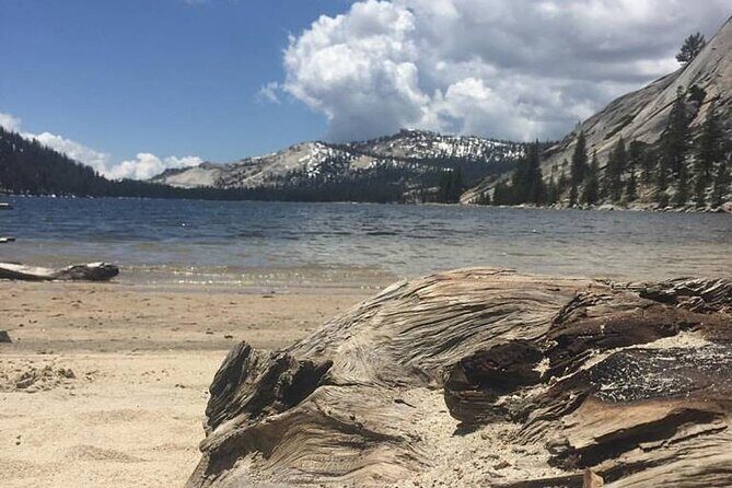 Yosemites High Country Adaptive Tour - Who Will Love This Tour?