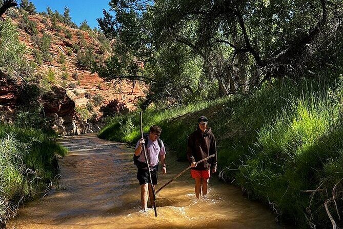 YOU DRIVE!! 4 Hr East Zion Guided UTV Tour - Who Is This Tour Perfect For?