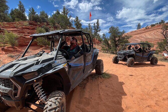 YOU DRIVE!! East Zion's Hidden Treasures - 4 Hr UTV Tour - A Deep Dive Into the Experience