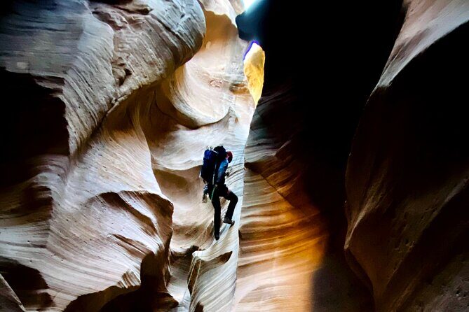 YOU DRIVE!! Rap & Ride - A Full Day of Rappelling and UTVs - What Travelers Love About This Tour