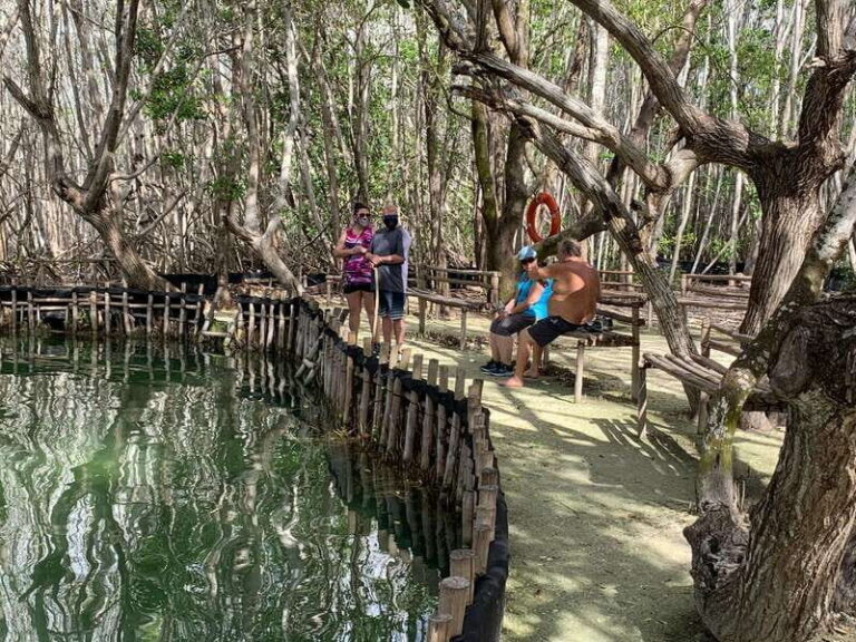 Yucatan: Get to Know the 5 Emblematic Points Experience - Tour Details and Practicalities