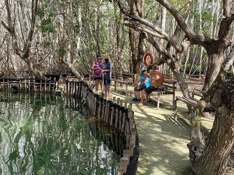 Yucatan: Get to Know the 5 Emblematic Points Experience - Tour Details and Practicalities