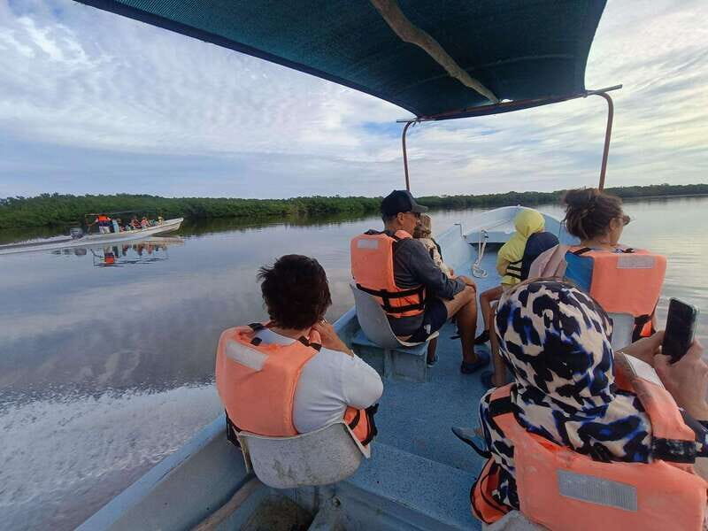 Yucatán: Río Lagartos Biosphere Reserve Boat Tour