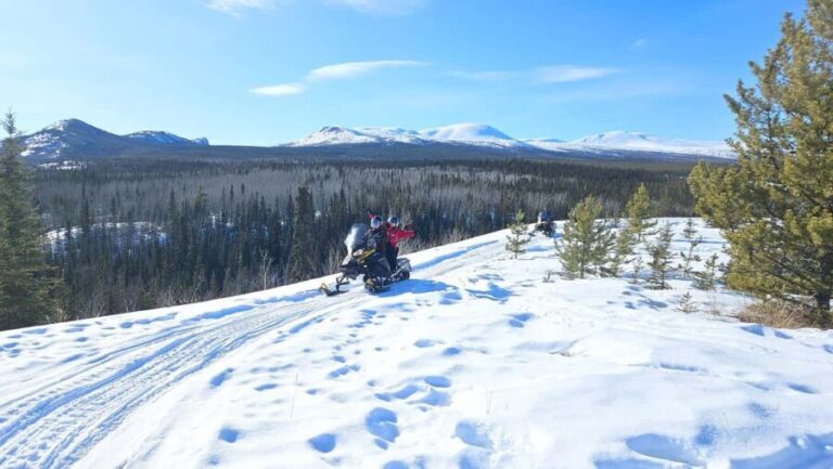 Yukon: Half-Day Snowmobile Tour - The Value of This Snowmobile Experience