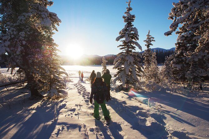 Yukon Snowshoeing Adventure | half day - What Makes This Tour Stand Out