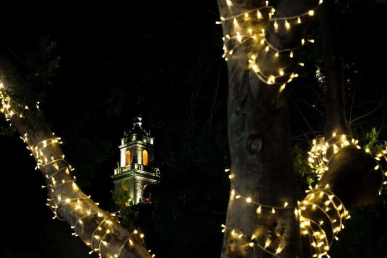 Yuletide in Mérida: A Private Tour Through Holiday Splendor - Who Should Consider This Tour?