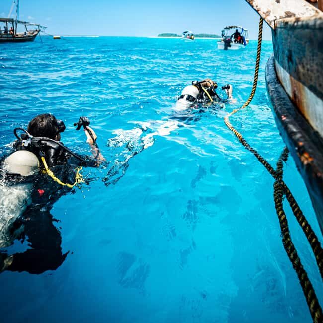 Zanzibar: 2-Day PADI Dive Into Paradise on a Scuba Tour - Who Should Consider This Tour?