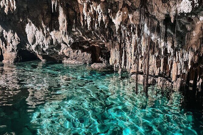 Zapote Cenotes Adventure Tour Prehistoric Park - Practical Details and Value