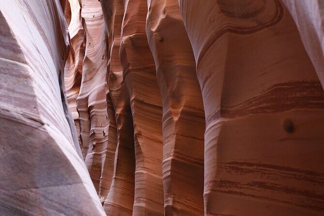 Zebra Slot Canyon Hiking Tour in Escalante - Practical Details and Tips