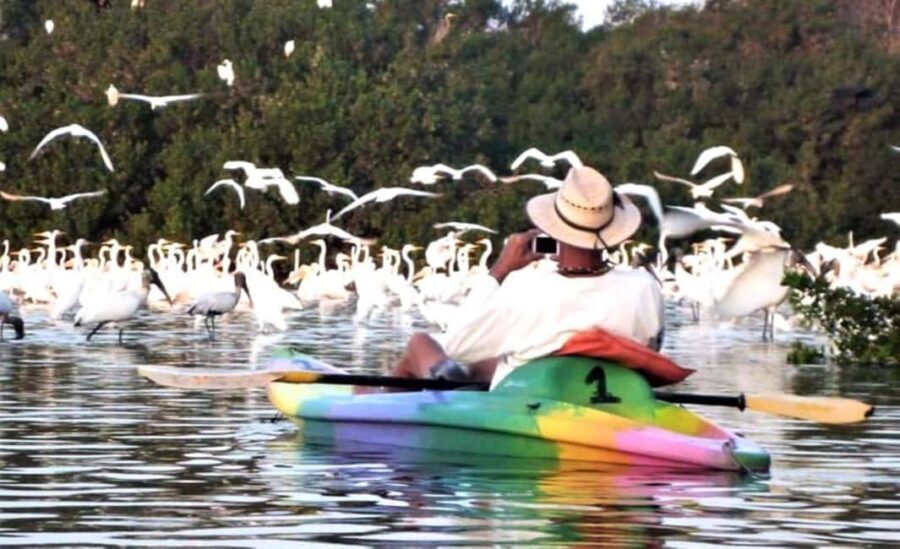 Zihuatanejo: Horseback Riding & Kayaking - What Sets This Tour Apart