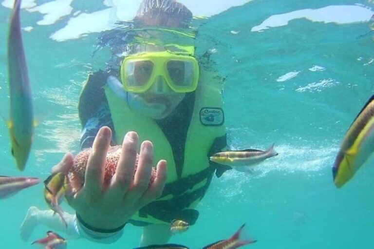 Zihuatanejo: Las Gatas Beach Snorkeling and Kayaking Tour - How Does the Experience Provide Value?