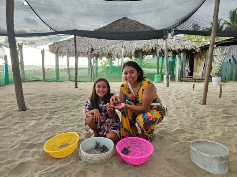 Zihuatanejo: Turtle Release Experience at Playa Blanca - Evaluating the Value