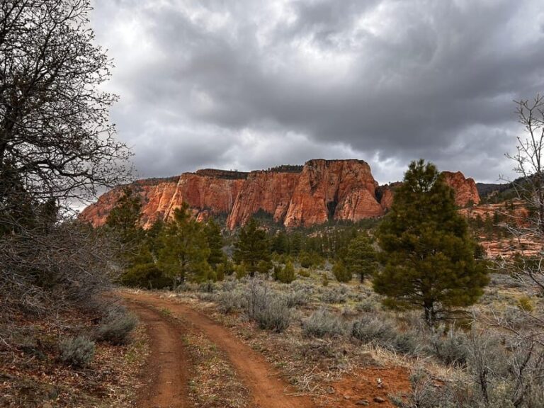 Zion National Park 5-hour Tour: Hike and Drive - The Scenic Viewpoints and Overlooks