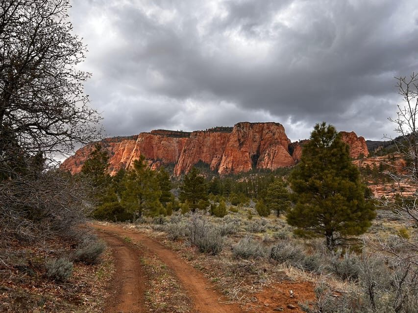 Zion National Park 5-hour Tour: Hike and Drive - The Scenic Viewpoints and Overlooks