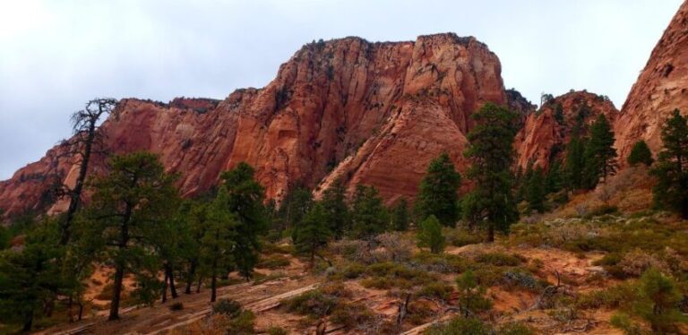 Zion National Park - Kolob Terrace: 1/2 Day Sightseeing Tour - The Value of a Private, Custom Tour