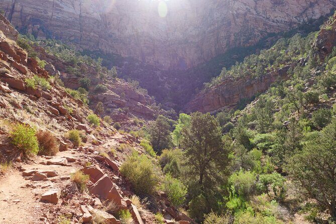 Zion National Park Small Group Tour from Las Vegas - Why Choose This Tour?