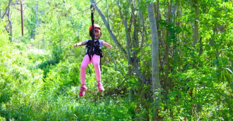 Zip & Dip: 3 Ziplines + Wet 'n' Wild Hawaii Waterpark - The Waterpark: Wet n Wild Hawaii