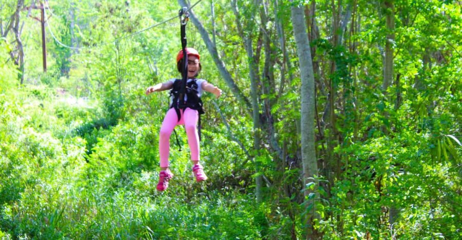 Zip & Dip: 3 Ziplines + Wet 'n' Wild Hawaii Waterpark - The Waterpark: Wet n Wild Hawaii
