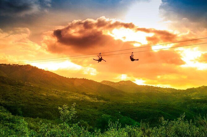 Zip Zoom Ziplines at La Jolla Indian Adventure Park - The Sum Up
