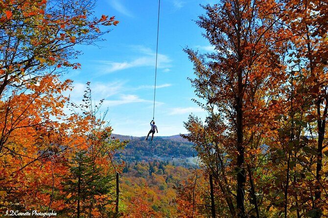 Ziplines over Laurentian Mountains at Mont-Catherine - The Zip Lines: Long, Exciting, and Scenic