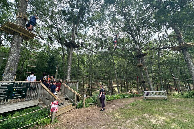 Ziplining and Climbing at The Adventure Park on Cape Cod - Analyzing the Value