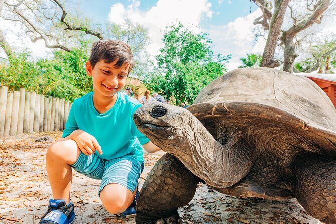 ZooTampa at Lowry Park Admission Ticket - Navigating the Itinerary: What’s on Offer