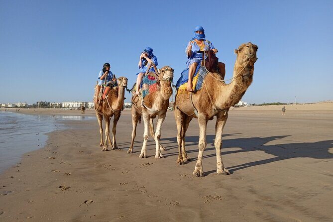1/2 Day Camel Trekking in Essaouira with Meals - Why Travelers Love This Tour
