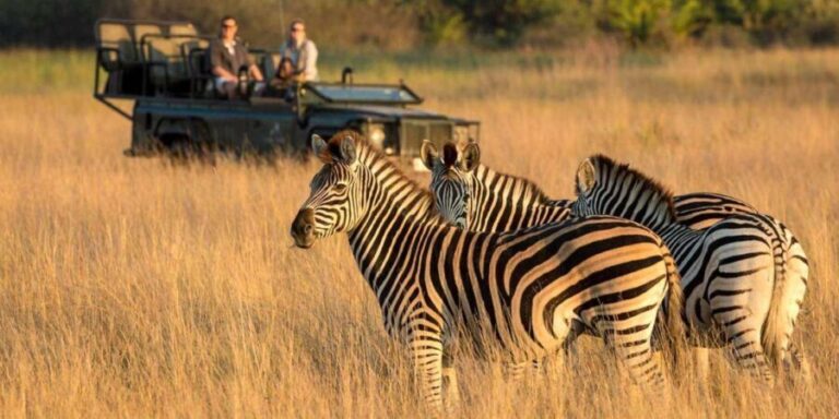 1/2 Day Phezulu Safari Park & Natal Lion Park from Durban - What makes this tour special