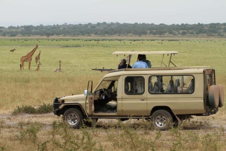 1 Day Akagera National Park Safari Package - Lake Ihema: A Water-Based Wildlife Encounter