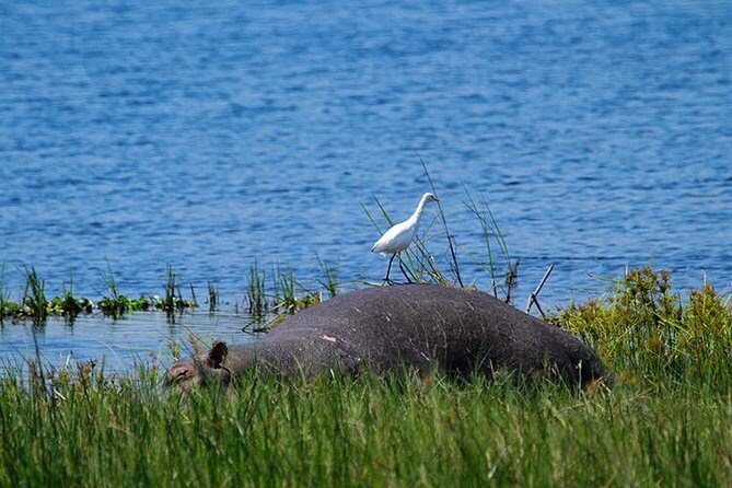 1 Day Akagera Wildlife Safaris Rwanda (2 Pax Min) - How the Tour Is Structured