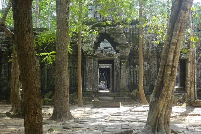 1-Day Angkor Wat Sunrise & All Interesting Temples Private Tour - What Travelers Say