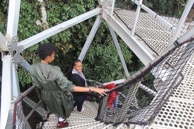 1 Day Canopy walk way in Nyungwe Natioinal park - The Value of the Tour
