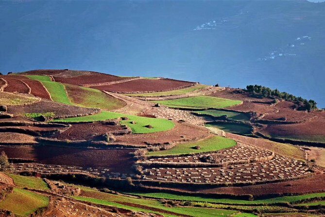 1-Day Dongchuan Red Land Photography Private Tour from Kunming - The Practicalities: Booking, Timing, and What to Expect