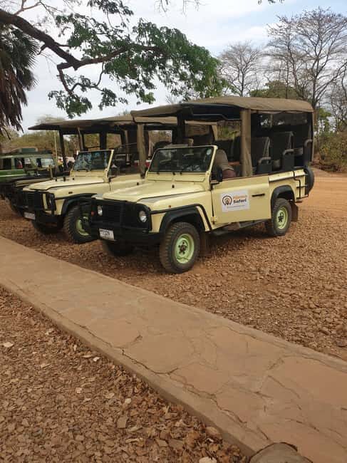 1 Day Fly in Safari Zanzibar Nyerere National Park - The Itinerary in Detail