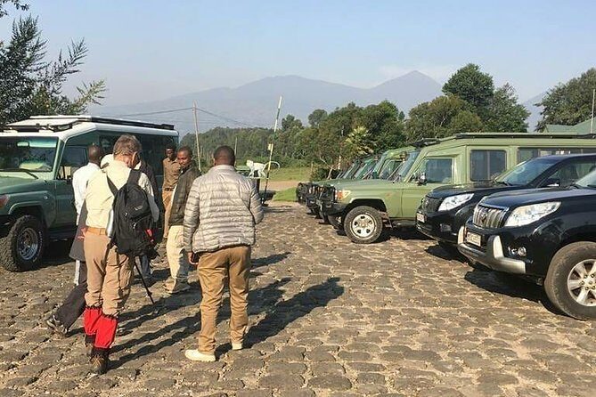1 Day Gorilla Trekking Rwanda - What Sets This Tour Apart
