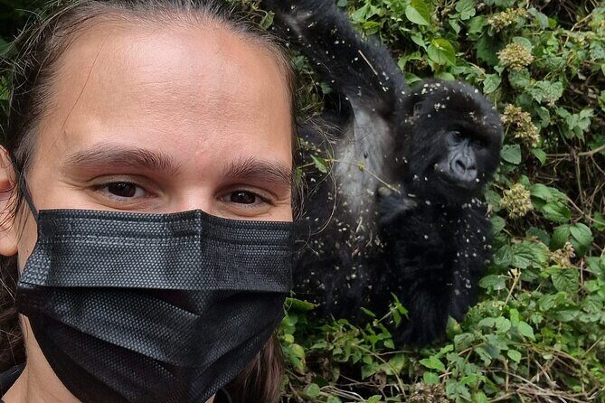 1 Day Gorilla Trekking Safari in Rwanda Volcanoes National Park - What’s Included and What’s Not