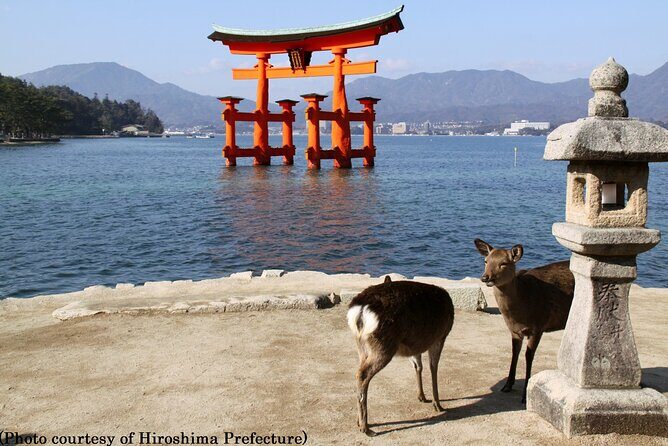 1 Day Hiroshima and Miyajima Tour by Bullet Train from Kyoto - The Full Itinerary in Detail