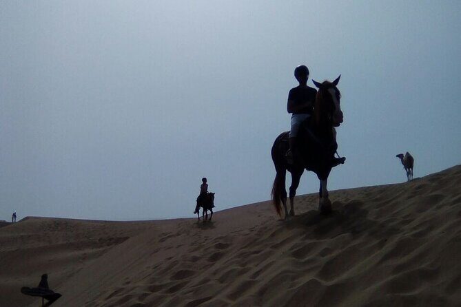 1 day horseback ride with lunch - What Youll See: Varied Landscapes