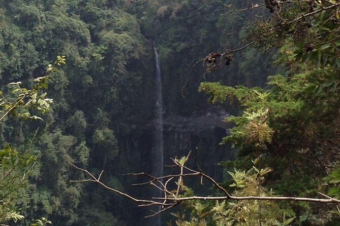 1 Day Kilimanjaro forest (mambori waterfalls). - Frequently Asked Questions