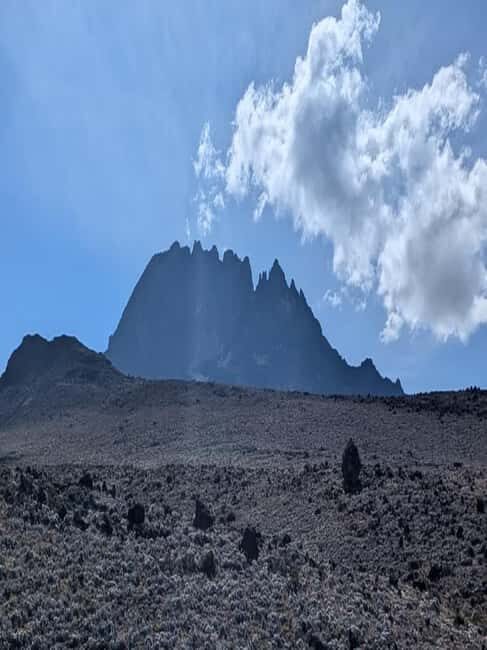 1-Day Kilimanjaro Shira Plateau Cathedral Point trek - Practical Tips for Travelers