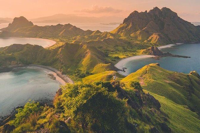 1 Day Komodo Trip By Shared Fast Boat - The Experience: What It Means for Travelers