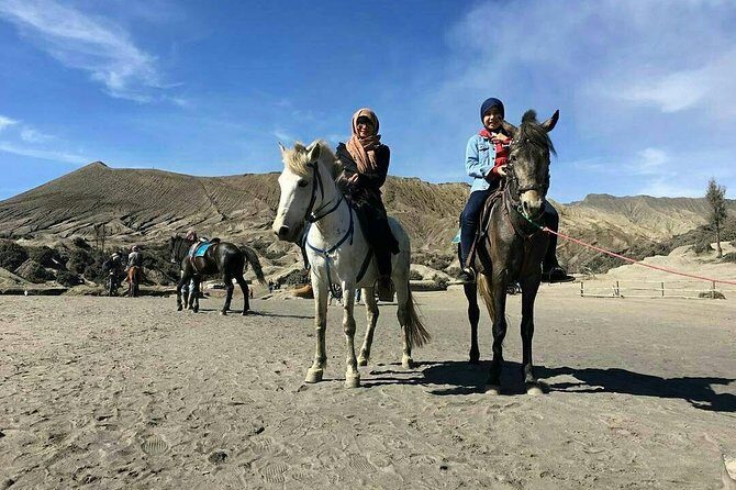 1 Day - Mount Bromo (5 spots) and Madakaripura waterfall // 23.00 - 18.00 - Transport and Logistics