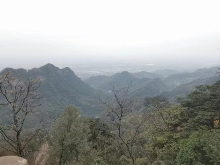 1-Day Mount Qingcheng and Dujiangyan Irrigation System Tour - The Marvel of Dujiangyan Irrigation System