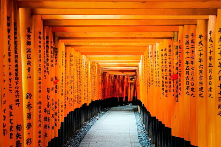 1-Day Osaka to Kyoto: Temples, Castles & Culture Tour - The Itinerary in Detail